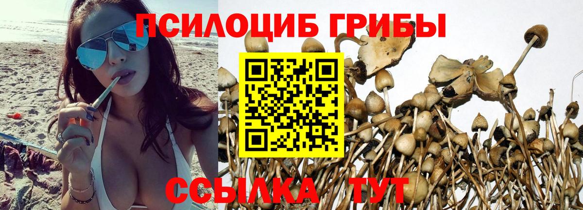 Ейск  Галлюциногенные грибы MAGIC MUSHROOMS  Псилоцибиновые грибы Psilocybe  что такое   Вход с VPN 